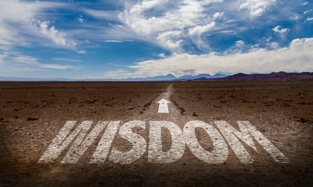 The Stewardship of Godly Wisdom