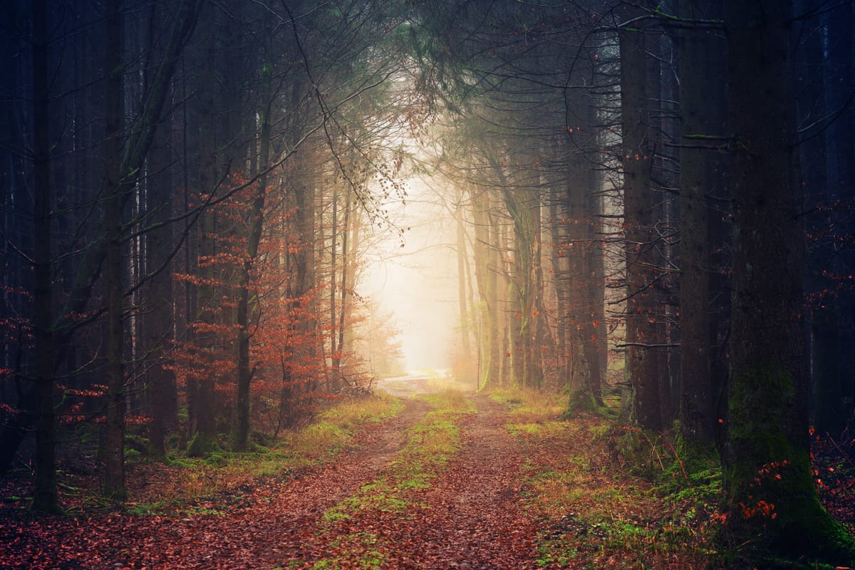 Finding Your "Calling" in Retirement