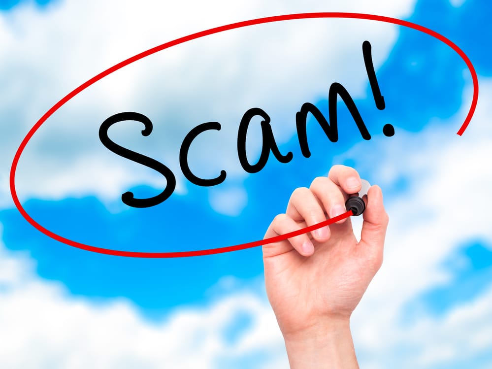 Schemes and Scams and Fraud, Oh My!