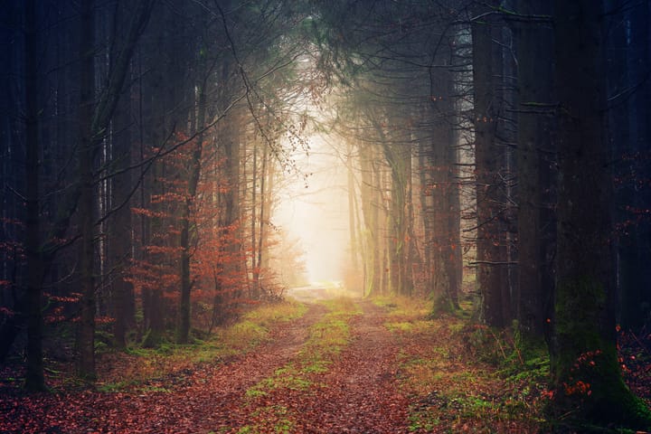 Finding Your "Calling" in Retirement